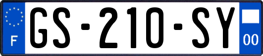 GS-210-SY