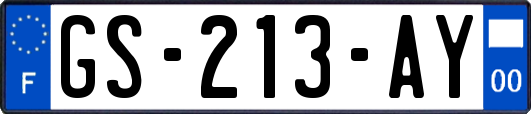 GS-213-AY