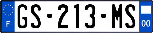 GS-213-MS