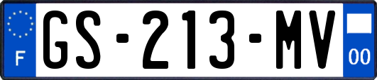 GS-213-MV