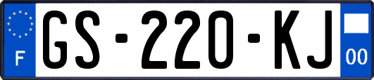 GS-220-KJ