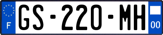 GS-220-MH