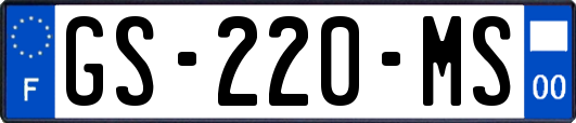 GS-220-MS