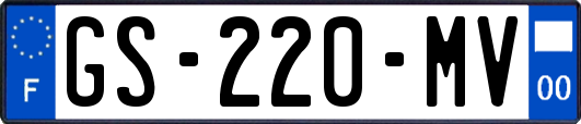 GS-220-MV