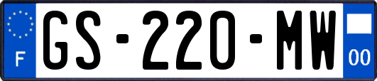 GS-220-MW
