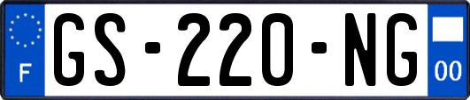 GS-220-NG