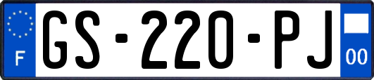GS-220-PJ