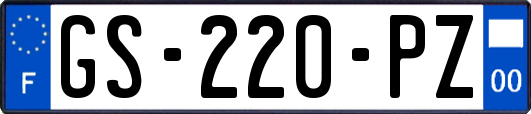 GS-220-PZ