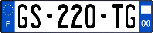 GS-220-TG