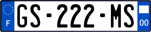 GS-222-MS