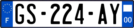 GS-224-AY