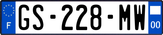 GS-228-MW