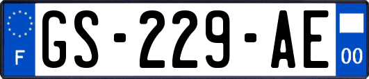 GS-229-AE