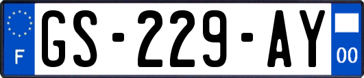 GS-229-AY