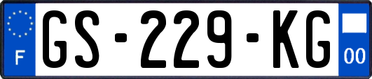 GS-229-KG
