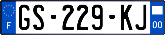 GS-229-KJ