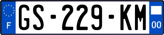 GS-229-KM