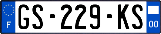 GS-229-KS