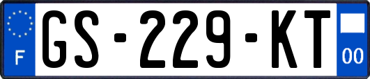 GS-229-KT