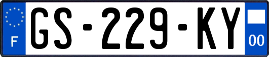 GS-229-KY
