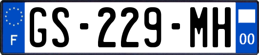 GS-229-MH