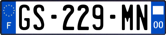 GS-229-MN