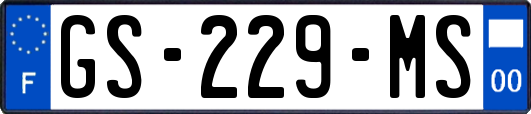 GS-229-MS