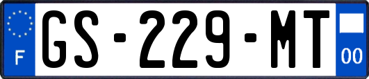 GS-229-MT