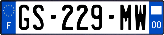 GS-229-MW