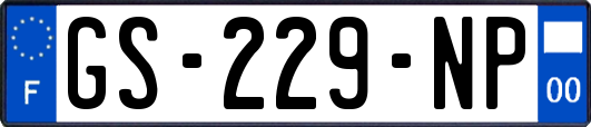 GS-229-NP