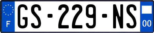 GS-229-NS