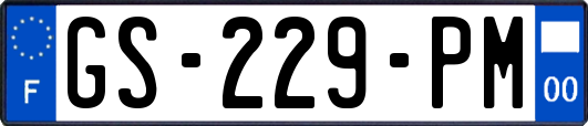 GS-229-PM