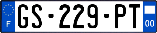 GS-229-PT