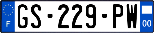 GS-229-PW