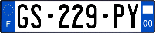 GS-229-PY