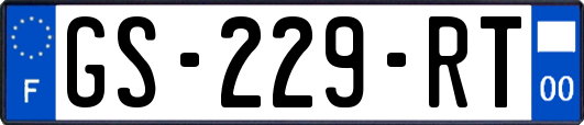 GS-229-RT