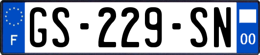 GS-229-SN