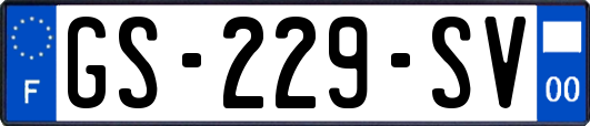 GS-229-SV