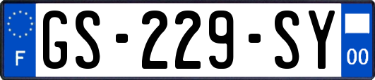 GS-229-SY