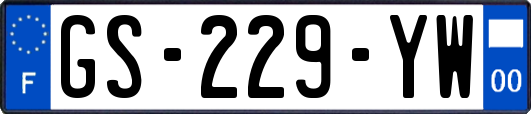 GS-229-YW