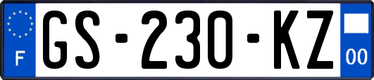 GS-230-KZ