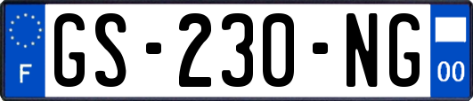 GS-230-NG