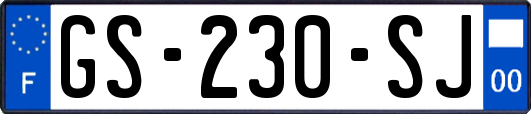 GS-230-SJ