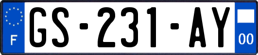 GS-231-AY