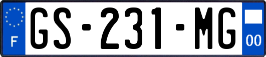 GS-231-MG
