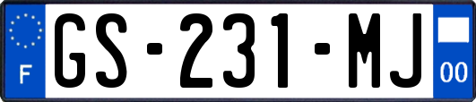 GS-231-MJ