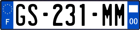 GS-231-MM