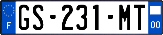 GS-231-MT