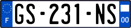 GS-231-NS