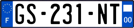 GS-231-NT